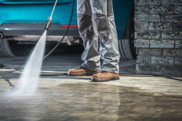 Best House Exterior Washing  in Westgate, FL