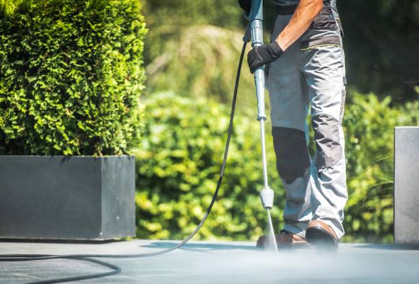 Best Animal Enclosure Cleaning  in Westgate, FL
