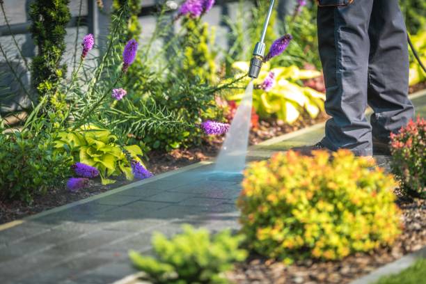 Best Dumpster Area Cleaning  in Westgate, FL